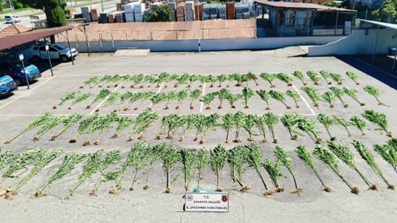 Sakarya’da uyuşturucu operasyonu: 75 gram bozai eve geçirildi